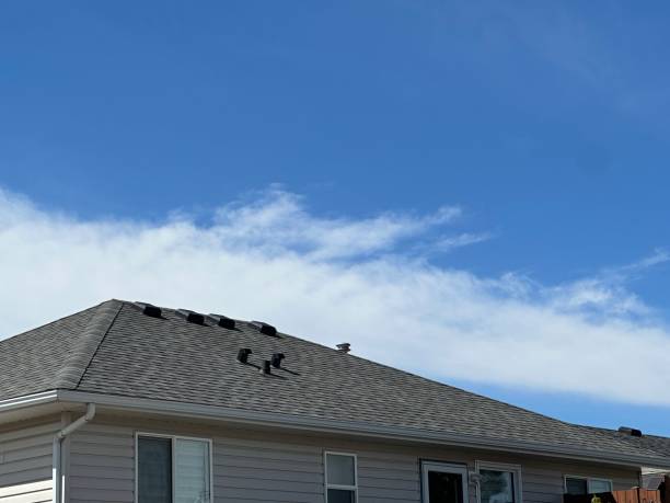 Best Roof Leak Repair  in Grant City, MO